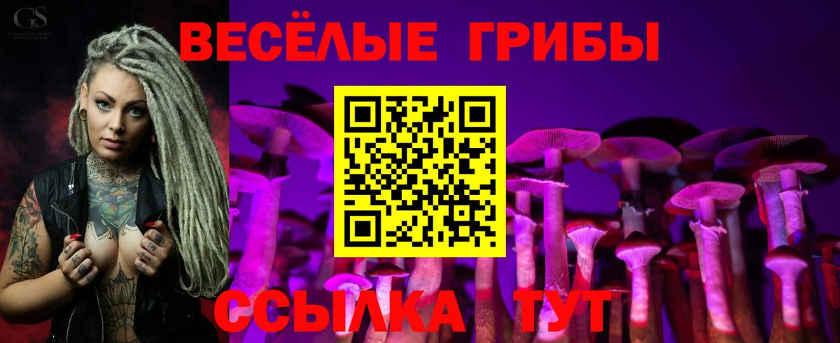 Псилоцибиновые грибы Psilocybine cubensis  Псилоцибиновые грибы Psilocybine cubensis  Вход с VPN  Богородск 